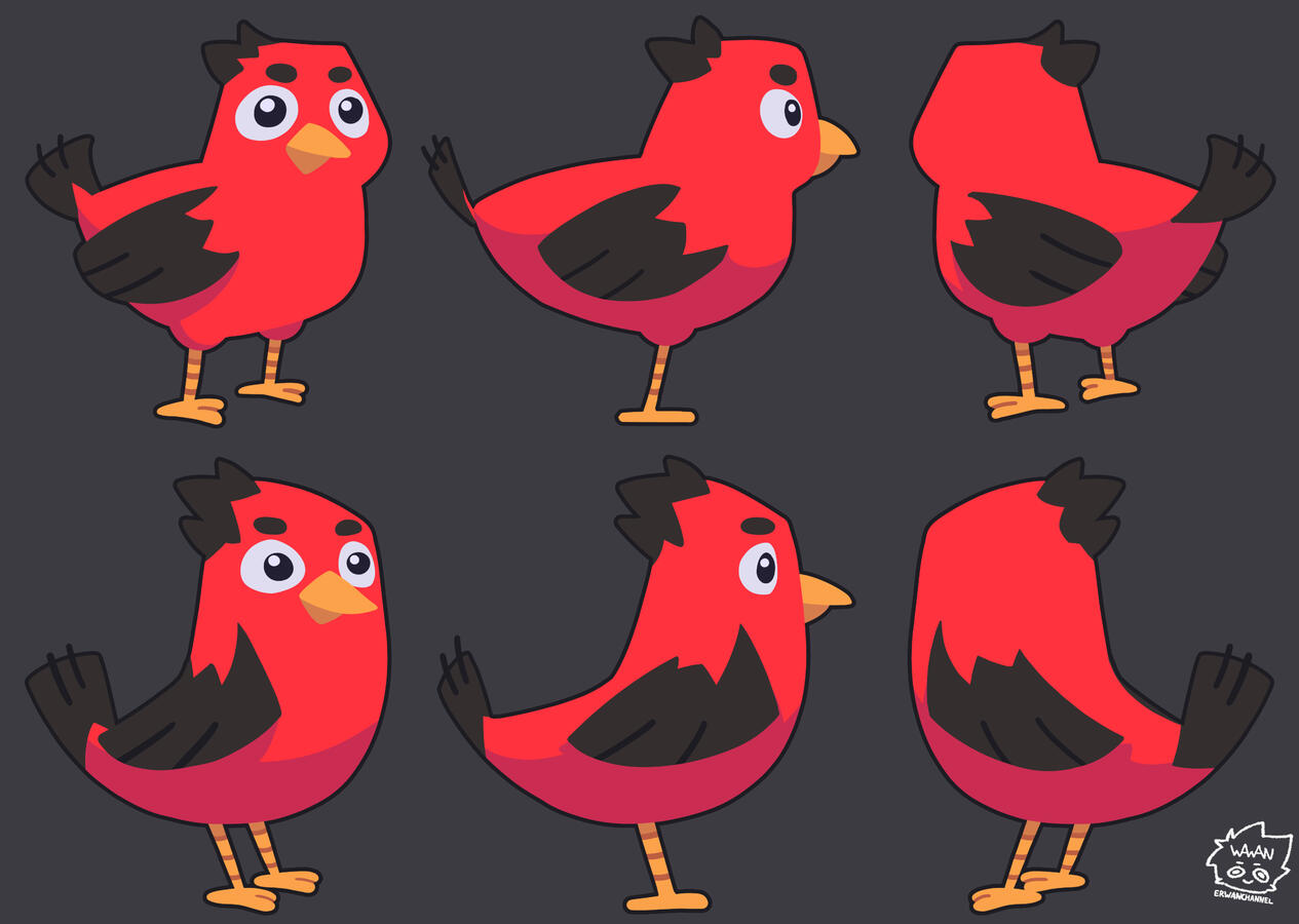 charadesign animation oiseau